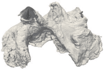 Image: Image from the advanced new 3D virtual heart model. (Photo courtesy of University of Manchester).